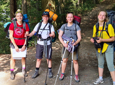Simbolična fotografija za članek z naslovom: MEPI OSE ukanile volka