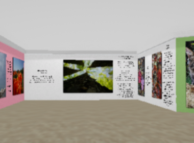 Simbolična fotografija za članek z naslovom: Virtualna razstava fotografij in poezije