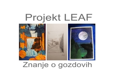 Simbolična fotografija za članek z naslovom: Nika Štirn - 3. mesto