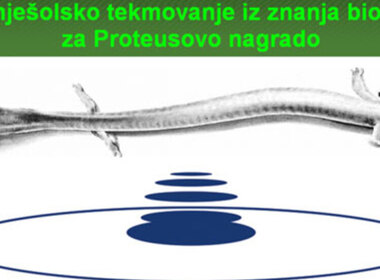 Simbolična fotografija za članek z naslovom: Rezultati državnega tekmovanja iz znanja biologije
