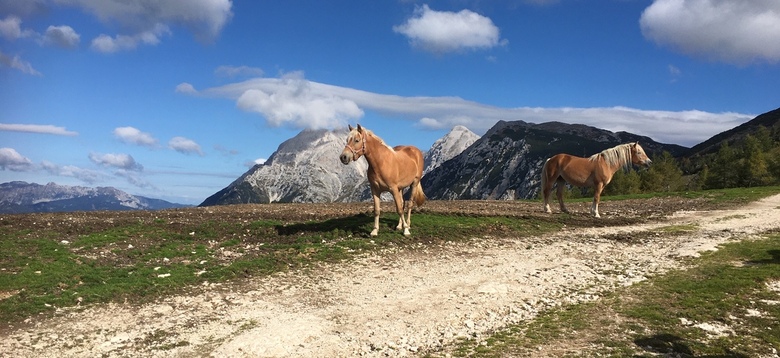Športna tekmovanja, državna prvenstva in odličja, jesenski športni dan in še kaj