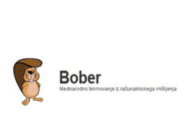 Simbolična fotografija za članek z naslovom: Državno tekmovanje Bober