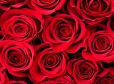 Simbolična fotografija za članek z naslovom: Ob dnevu žena