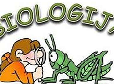 Simbolična fotografija za članek z naslovom: Državno tekmovanje iz znanja biologije 