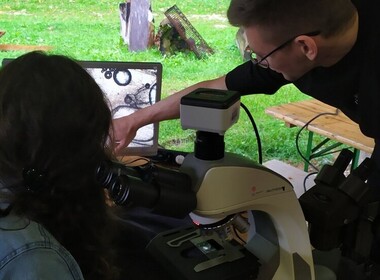 Simbolična fotografija za članek z naslovom: Znanost pod senikom