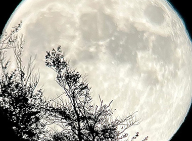 Simbolična fotografija za članek z naslovom: "Fotografirali" s teleskopi