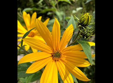 Simbolična fotografija za članek z naslovom: Izbor dveh najboljših RAZISKOVALNIH NALOG
