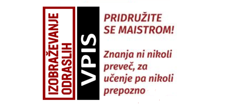 Izobraževanje odraslih