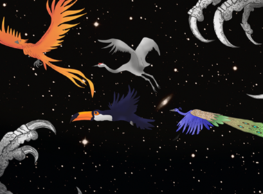 Simbolična fotografija za članek z naslovom: Natečaj GoChile