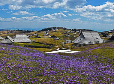 Simbolična fotografija za članek z naslovom: Tradicija v trendu