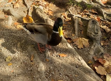Ekskurzija v Plitvice