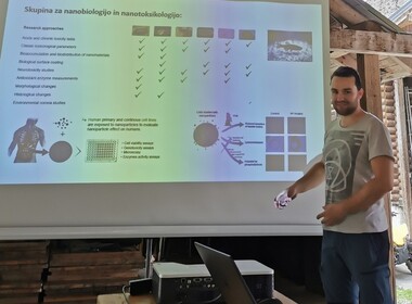 Naključna fotografija iz galerije Naravoslovni tabor v Kamniški Bistrici