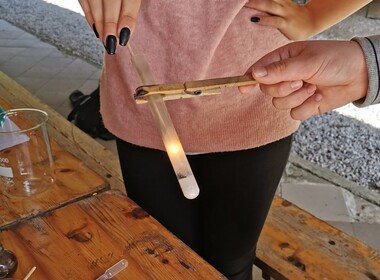 Naključna fotografija iz galerije Naravoslovni tabor v Kamniški Bistrici