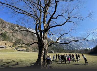 Naključna fotografija iz galerije Pozdrav iz projektnih dni