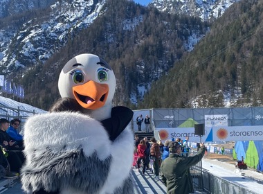 Naključna fotografija iz galerije 2. letniki programa ekonomski tehnik v Planici
