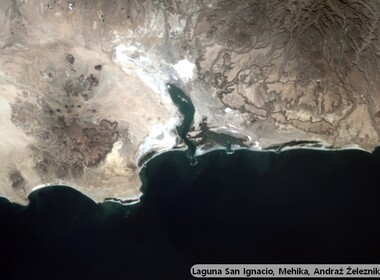 7631_laguna-san-ignacio-mehika-andraz-zeleznik-3a.jpg