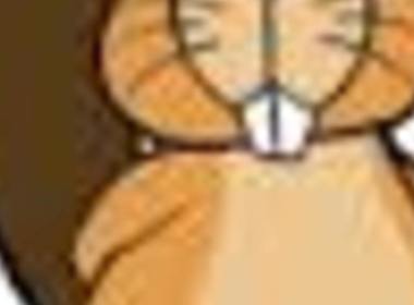 Simbolična fotografija za članek z naslovom: Tekmovanje Bober