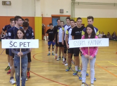 Simbolična fotografija za članek z naslovom: Odbojka in šport