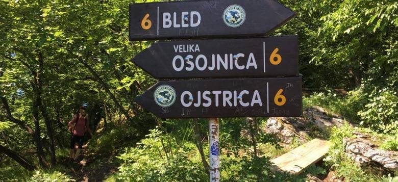 Zaključni izlet