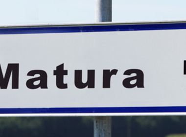 Simbolična fotografija za članek z naslovom: Še en zlati maturant splošne mature 2016