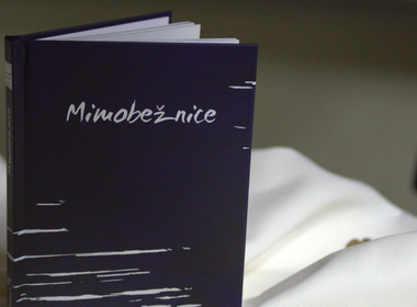 Simbolična fotografija za članek z naslovom: Recital Mimobežnice