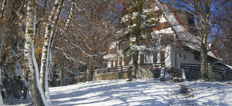 DSD jezikovni tabor
