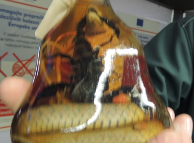 Simbolična fotografija za članek z naslovom: Obisk letališča Jožeta Pučnika Ljubljana