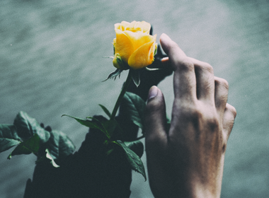 Simbolična fotografija za članek z naslovom: Dijak o Dnevu žena