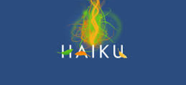 GAŠPERJEV NAGRAJENI HAIKU