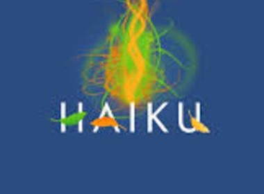 Simbolična fotografija za članek z naslovom: GAŠPERJEV NAGRAJENI HAIKU