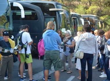 Simbolična fotografija za članek z naslovom: Ko profoks na rajžo gre
