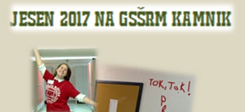 Inovativna pedagogika 1 : 1