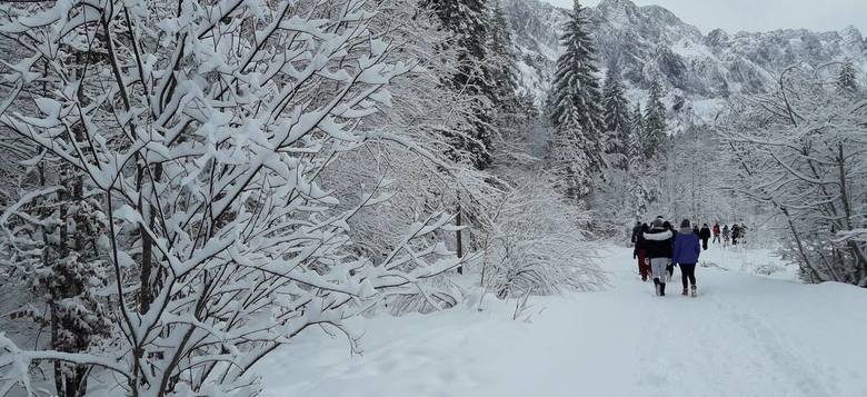 PROJEKTNI DNEVI PLANICA, 9. IN 10.12 2017 (4.F IN 4.G)