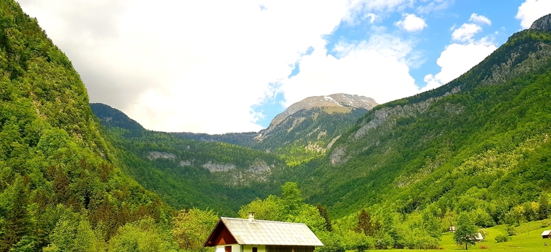 PROJEKTNI DNEVI V BOHINJU