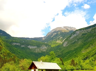 Simbolična fotografija za članek z naslovom: PROJEKTNI DNEVI V BOHINJU