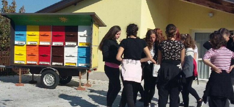 STORŽKI IN ČEBELICE S KRASA