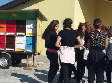 Simbolična fotografija za članek z naslovom: STORŽKI IN ČEBELICE S KRASA